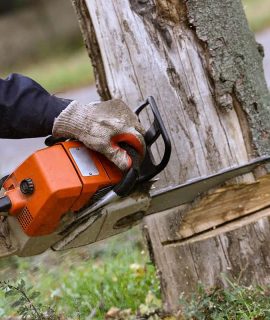 Tree-Felling6.jpg